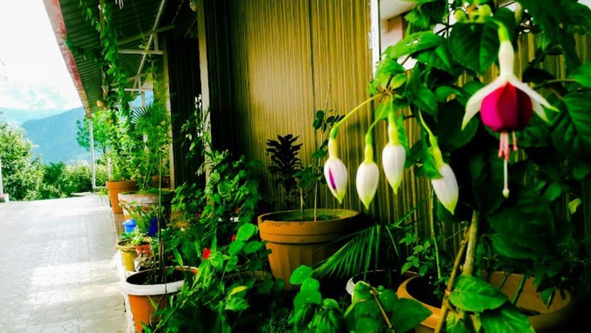 The Village Retreat Resort , Guptkashi Gupta Kashi Ngoại thất bức ảnh